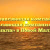 Управляющая компания «Управляющая компания Новая Малыкла» в Новой Малыкле