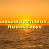 Управляющая компания «Уют» в Лысых Горах