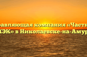 Управляющая компания «Частный ЖЭК» в Николаевске-на-Амуре