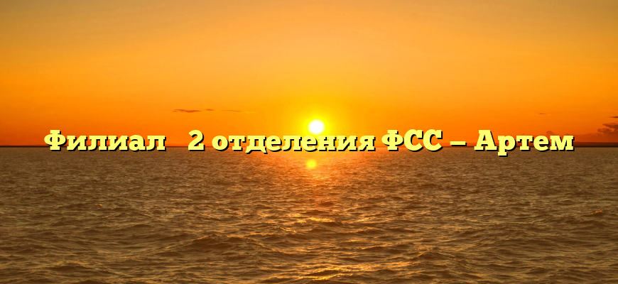 Филиал № 2 отделения ФСС — Артем