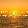 Филиал ГАУ Республики Дагестан «МФЦ» по городу Дагестанские Огни
