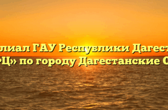 Филиал ГАУ Республики Дагестан «МФЦ» по городу Дагестанские Огни