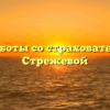 Группа работы со страхователями № 3 — Стрежевой