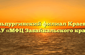 Дульдургинский филиал Краевого ГАУ «МФЦ Забайкальского края»