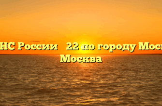 ИФНС России № 22 по городу Москве Москва