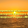 Кавалеровское отделение пгт. Кавалерово краевого ГАУ Приморского края «МФЦ»