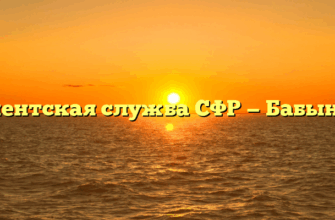 Клиентская служба СФР — Бабынино