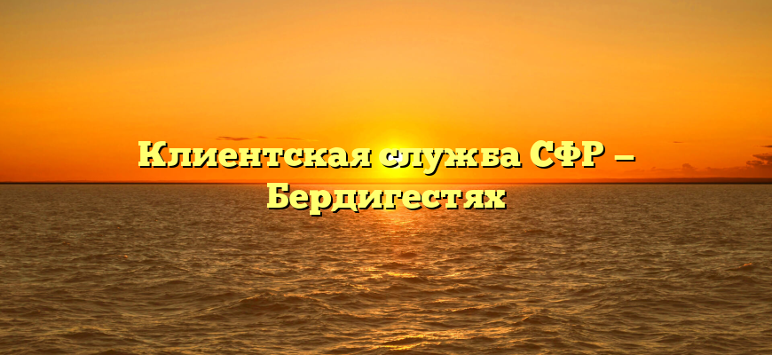 Клиентская служба СФР — Бердигестях