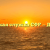 Клиентская служба СФР — Дмитриев