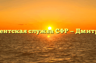 Клиентская служба СФР — Дмитриев