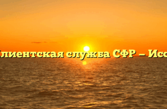 Клиентская служба СФР — Исса
