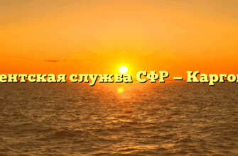 Клиентская служба СФР — Каргополь