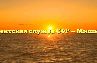 Клиентская служба СФР — Мишкино