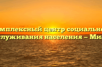 Комплексный центр социального обслуживания населения — Миасс