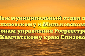 Межмуниципальный отдел по Елизовскому и Мильковскому районам управления Росреестра по Камчатскому краю Елизово