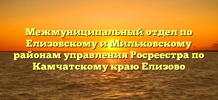 Межмуниципальный отдел по Елизовскому и Мильковскому районам управления Росреестра по Камчатскому краю Елизово