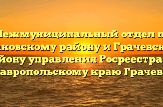 Межмуниципальный отдел по Шпаковскому району и Грачевскому району управления Росреестра по Ставропольскому краю Грачевка