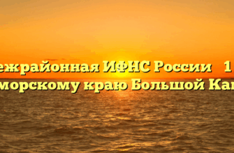 Межрайонная ИФНС России № 1 по Приморскому краю Большой Камень