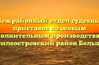 Межрайонный отдел судебных приставов по особым исполнительным производствам — Василеостровский район Большой