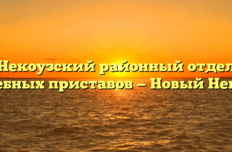 Некоузский районный отдел судебных приставов — Новый Некоуз