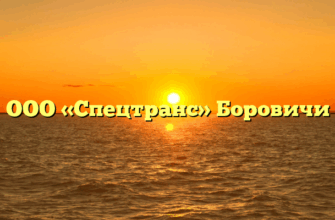ООО «Спецтранс» Боровичи