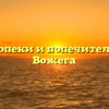 Отдел опеки и попечительства — Вожега