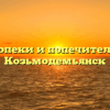 Отдел опеки и попечительства — Козьмодемьянск