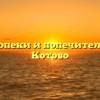 Отдел опеки и попечительства — Котово