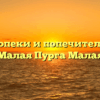 Отдел опеки и попечительства — Малая Пурга Малая