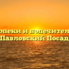 Отдел опеки и попечительства — Павловский Посад