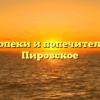Отдел опеки и попечительства — Пировское