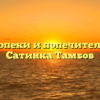 Отдел опеки и попечительства — Сатинка Тамбов