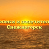 Отдел опеки и попечительства — Снежногорск