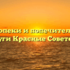 Отдел опеки и попечительства — Струги Красные Советская