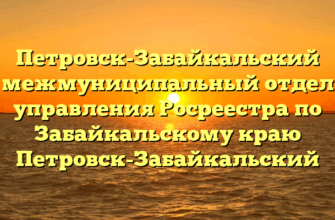 Петровск-Забайкальский межмуниципальный отдел управления Росреестра по Забайкальскому краю Петровск-Забайкальский
