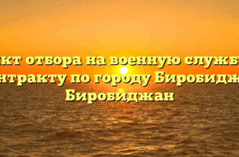 Пункт отбора на военную службу по контракту по городу Биробиджан Биробиджан