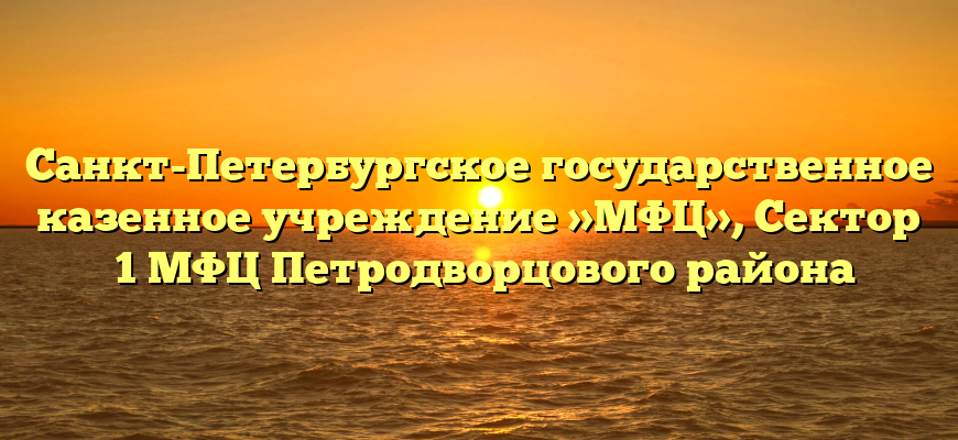 Санкт-Петербургское государственное казенное учреждение »МФЦ», Сектор №1 МФЦ Петродворцового района