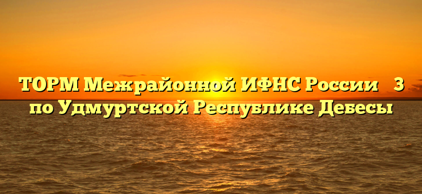 ТОРМ Межрайонной ИФНС России № 3 по Удмуртской Республике Дебесы