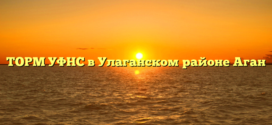 ТОРМ УФНС в Улаганском районе Аган