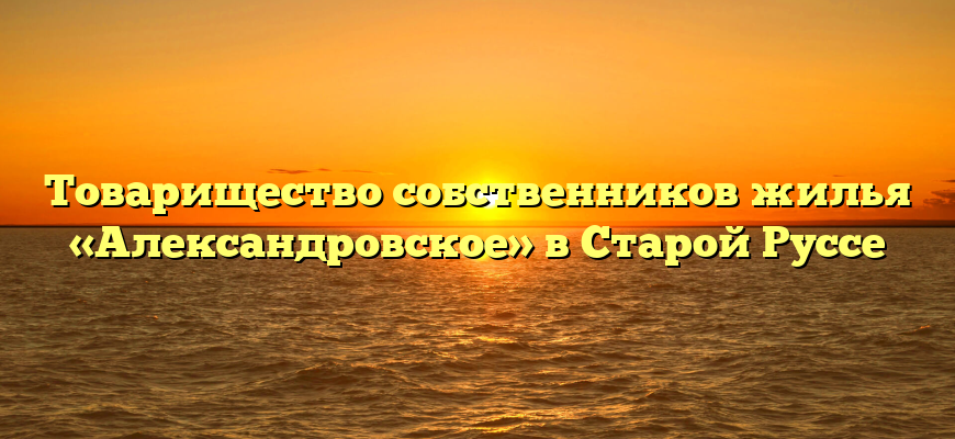 Товарищество собственников жилья «Александровское» в Старой Руссе