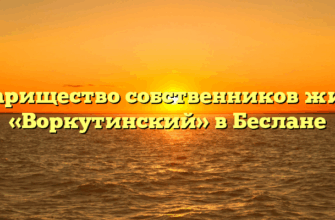 Товарищество собственников жилья «Воркутинский» в Беслане