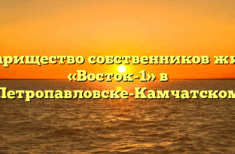 Товарищество собственников жилья «Восток-1» в Петропавловске-Камчатском