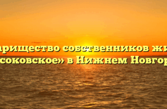 Товарищество собственников жилья «Высоковское» в Нижнем Новгороде