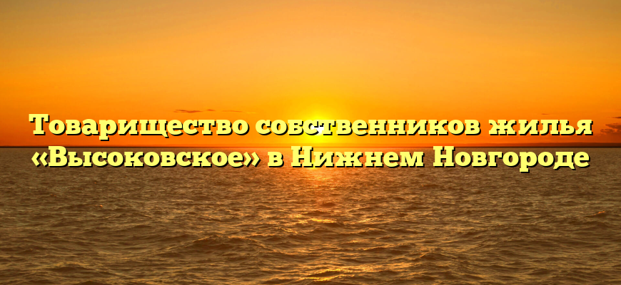 Товарищество собственников жилья «Высоковское» в Нижнем Новгороде
