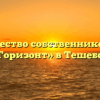 Товарищество собственников жилья «Горизонт» в Тешебсе