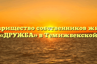 Товарищество собственников жилья «ДРУЖБА» в Темижбекской