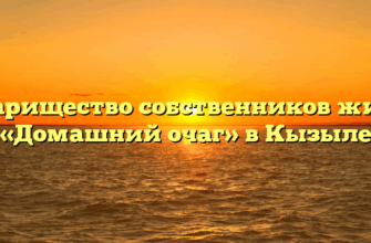 Товарищество собственников жилья «Домашний очаг» в Кызыле