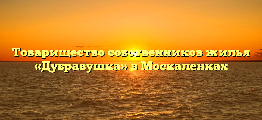 Товарищество собственников жилья «Дубравушка» в Москаленках