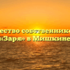 Товарищество собственников жилья «Заря» в Мишкине