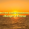 Товарищество собственников жилья «Кедр» в Елеце